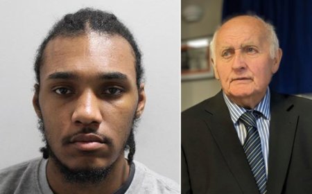 ലണ്ടനിൽ 87-കാരനെ ക്രൂരമായി കൊലപ്പെടുത്തിയ പ്രതി: മാനസിക ചികിത്സയ്ക്ക് ഉത്തരവ്