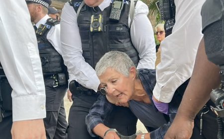 ലണ്ടനിൽ പലസ്തീൻ ആക്ഷൻ പിന്തുണച്ച് പ്രതിഷേധം: 29 പേർ അറസ്റ്റിൽ