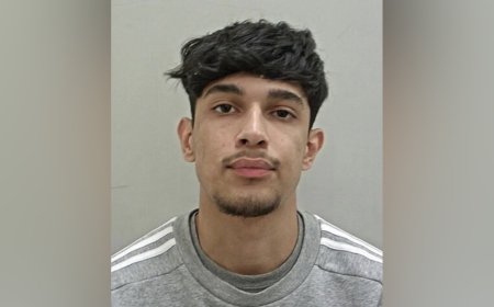 യുകെയിൽ വാഹനാപകടത്തിൽ മലയാളി യുവതിയുടെ ഗർഭസ്ഥ ശിശു മരിച്ച കേസിൽ പ്രതിക്ക് 13 വർഷം തടവ്