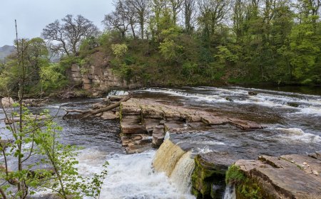 നോർത്ത് യോർക്ഷെയറിൽ 12 വയസ്സുകാരന്റെ മൃതദേഹം നദിയിൽ കണ്ടെത്തി