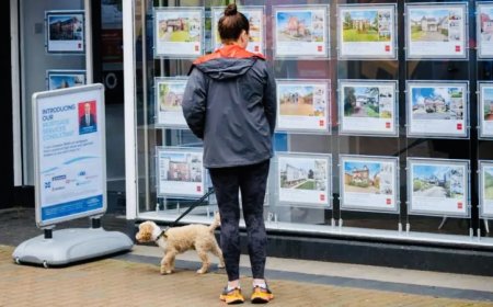 യുകെ ചാൻസലർ റേച്ചൽ റീവ്സ് നവംബർ ബജറ്റിന് മുന്നോടിയായി പ്രോപ്പർട്ടി നികുതികളിൽ വമ്പൻ പരിഷ്കരണങ്ങൾക്ക് ഒരുങ്ങുന്നു