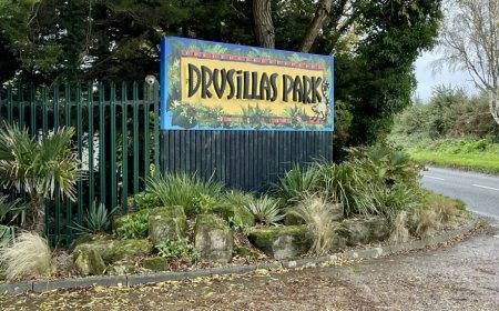 ലണ്ടനിൽ പൈപ്പ് പൊട്ടിയതിനെ തുടർന്ന് മൃഗശാല അടച്ചു; വീടുകളിൽ ജലക്ഷാമം