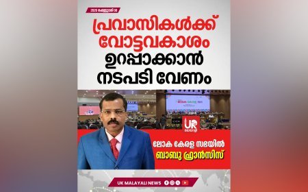 പ്രവാസി വോട്ടവകാശം: ലോക കേരള സഭയുടെ ഇടപെടൽ വേണമെന്ന് ബാബു ഫ്രാൻസീസ്